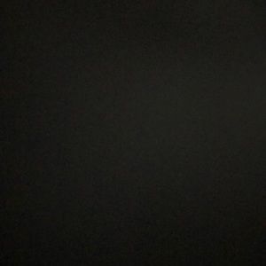 Meet your Posher, Gavin